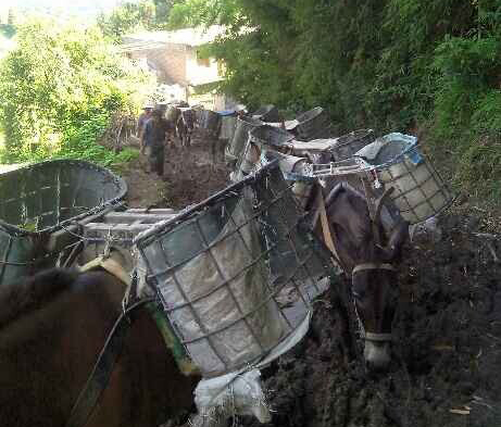 高明区马帮搬运