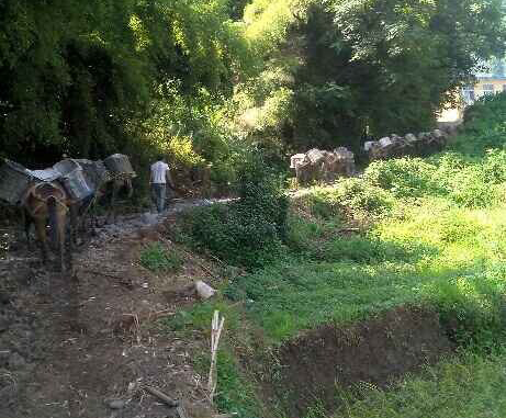 高明区马帮运输队