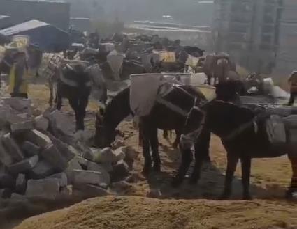 高明区马队山路运输