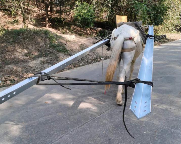 高明区马队搬运