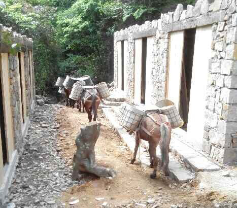 高明区马队运输队