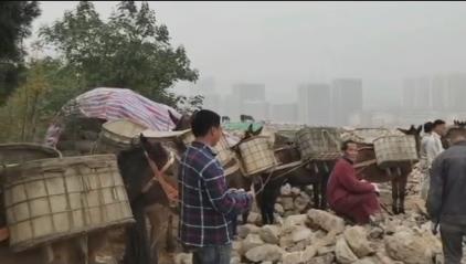 高明区骡马山区运输