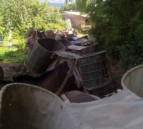 高明区骡马运输队