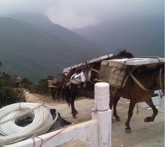 高明区山区马帮运输